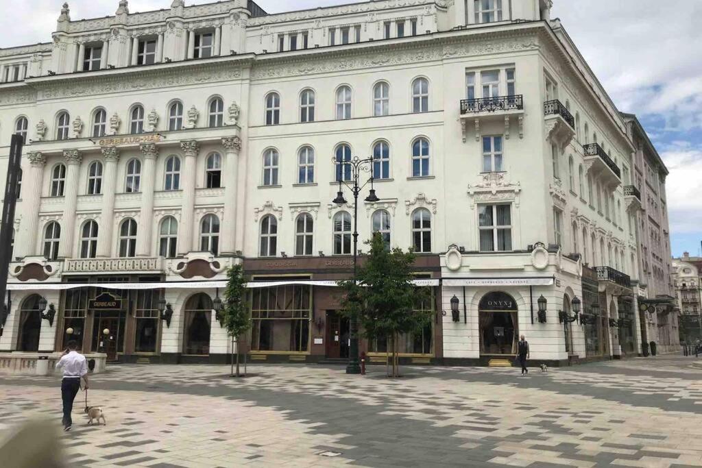 Studio Flat In The Center Of بودابست المظهر الخارجي الصورة